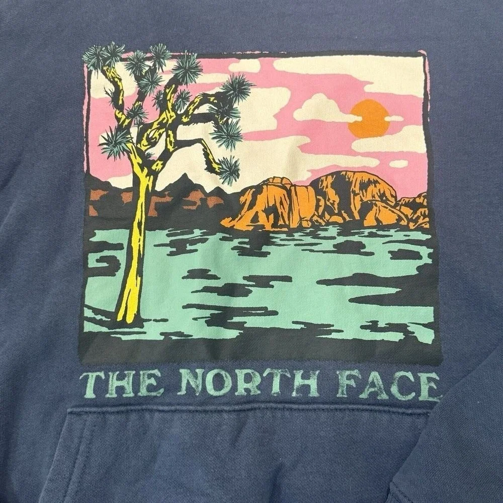 North‎ Face Graphic Hoodie Mens Small Blue Outdoor Streetwear Pullover